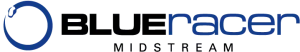 Blueracer logo